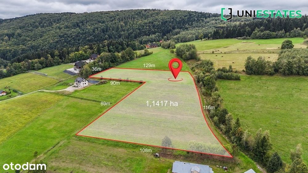 widok na jezioro | 1,14ha | agroturystyka | zobacz