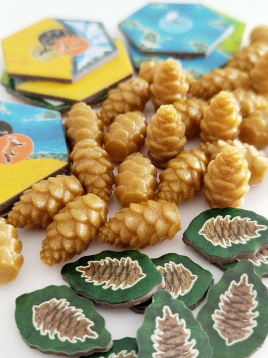 Pinhas - Cascadia - Jogo de Tabuleiro