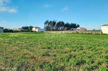 Terreno |