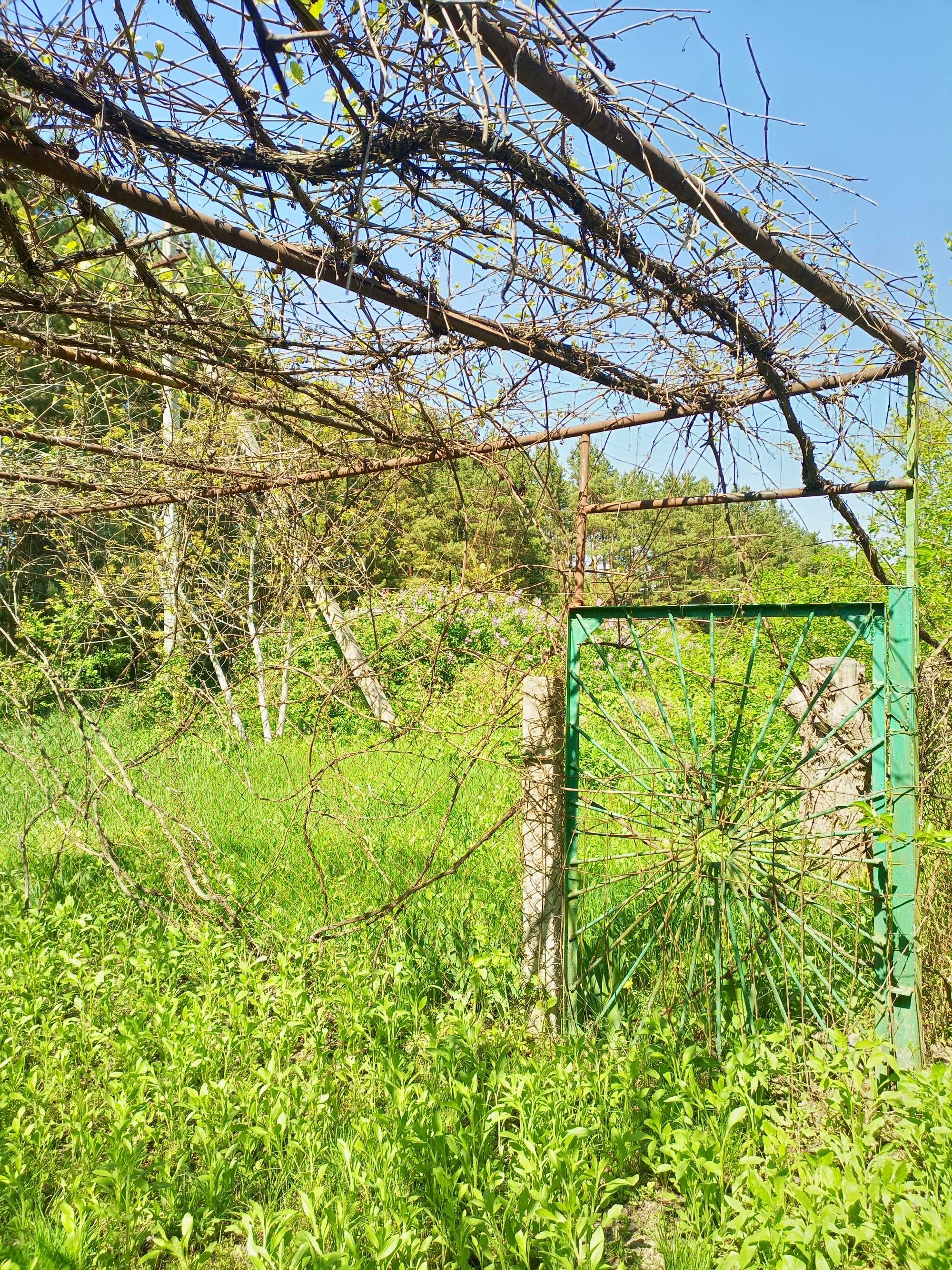 Продам дачу біля річки, Петрівка