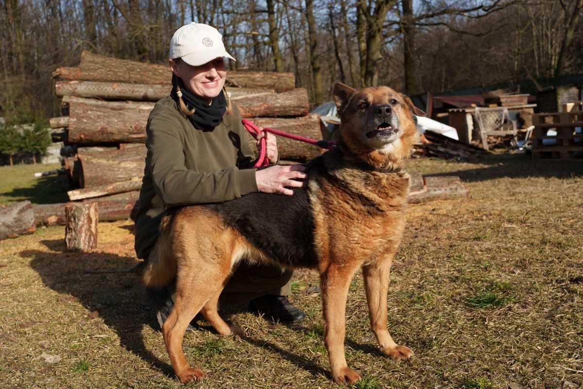 Sylwek niewidomy szuka domu schronisko Zgierz -aktualne