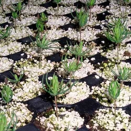 агроперлит,перліт,утеплення фасаду,агроперлит оптом,агроперліт гуртом