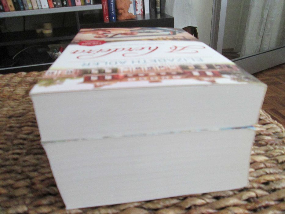 Livros Elizabeth Adler (Oferta portes) preços variados