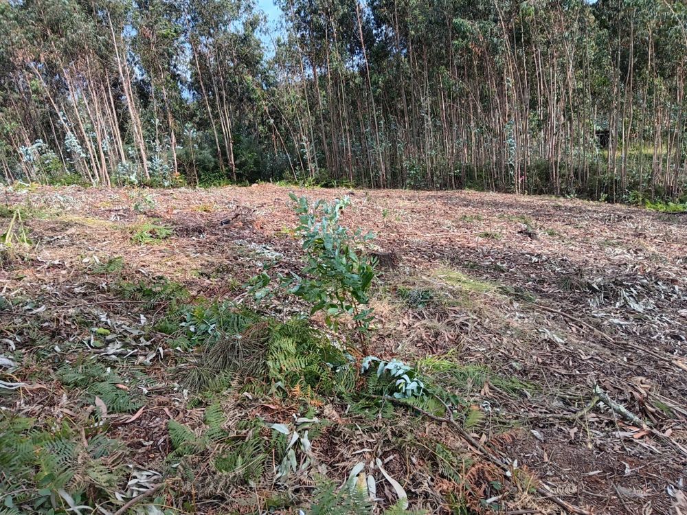 Vendo parcela de Terreno