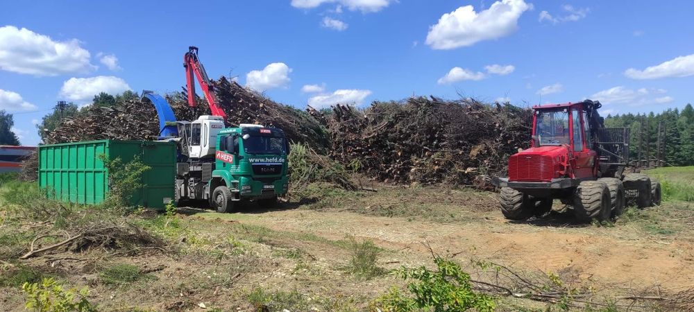 Wycinki, karczowanie drzew, mulczowanie TANIO !!