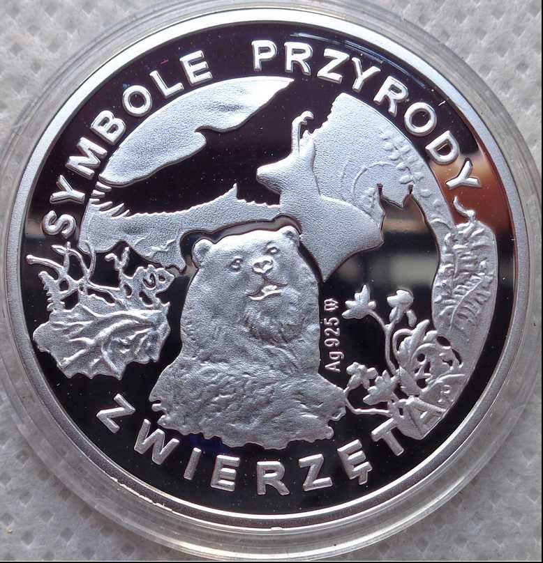 Symbole Przyrody Żubr numizmat srebro