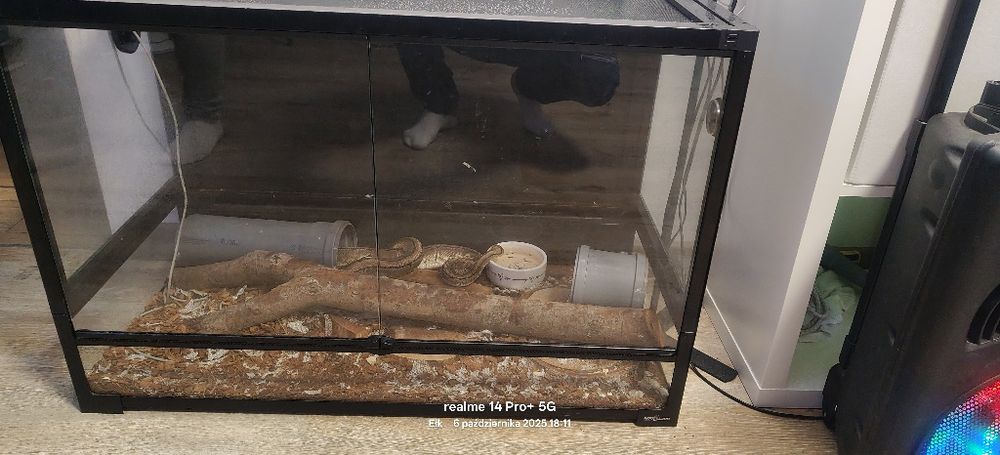 Terrarium dla węża,pająka 90x45x60 z wyposażeniem