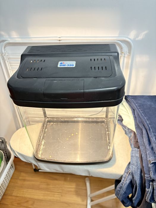 Aquario peixes como novo