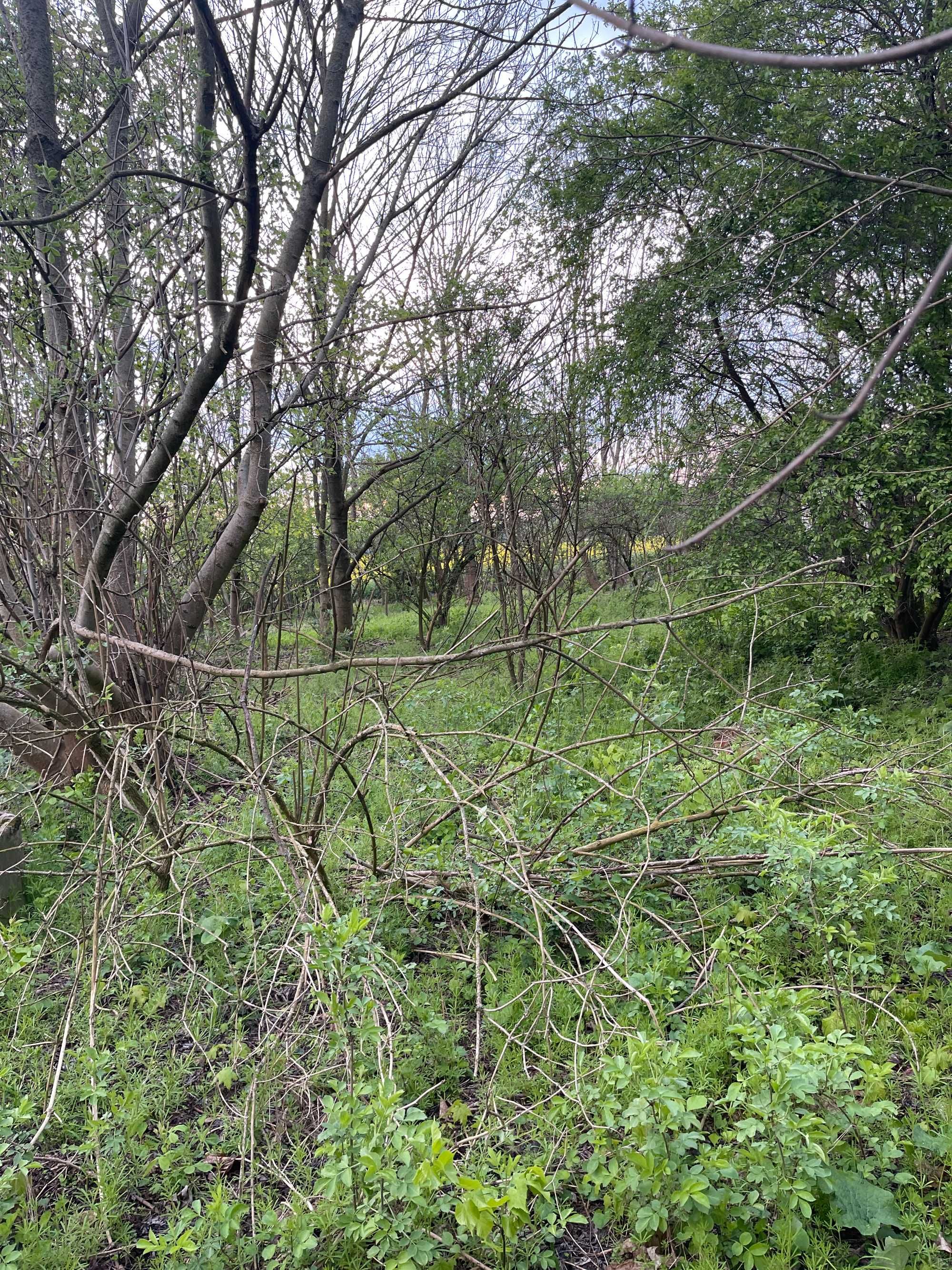 Działka budowlana na sprzedaż, 1500m2, Parczew, OKAZJA!