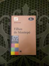 Livro Filhos de Montepó de António Mota - Gailivro NEW