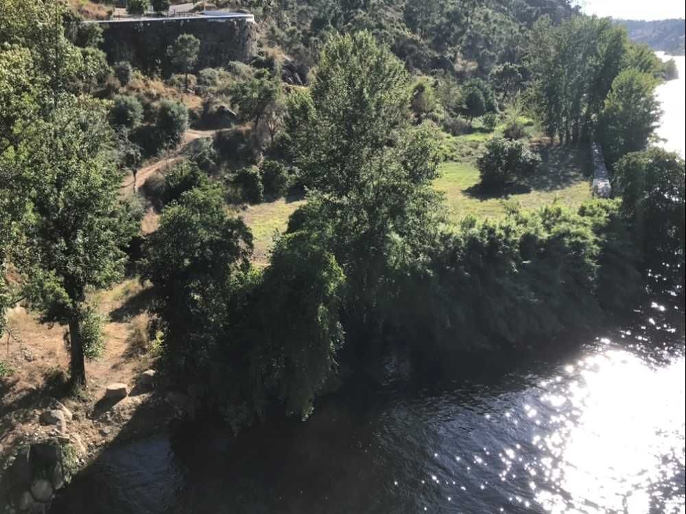 Terreno rústico idílico em Belver, rio Tejo e praia fluvial