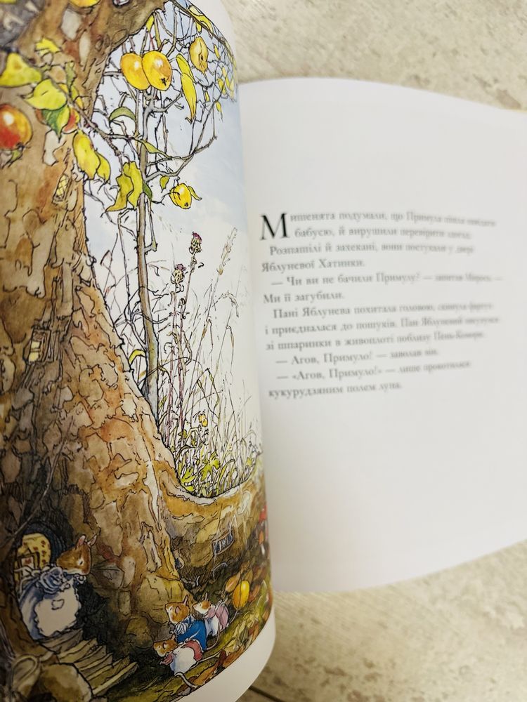 Книжка «Рік в Ожиновому Живоплоті»