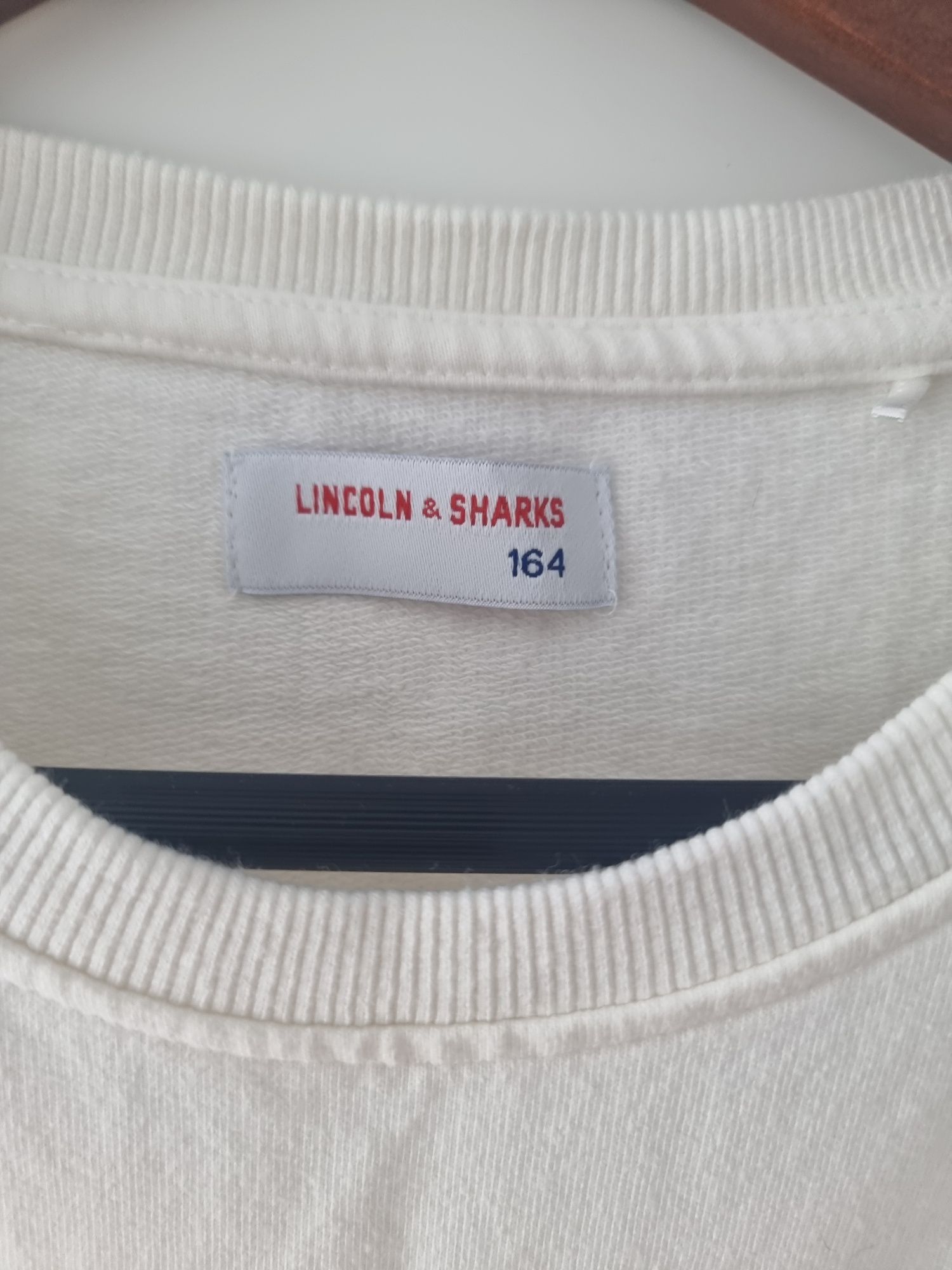 Bluza Lincoln & Sharks 164