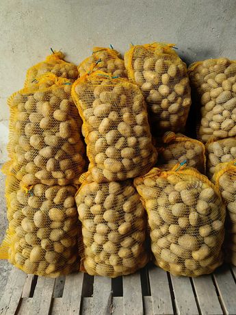 Ziemniaki Jadalne