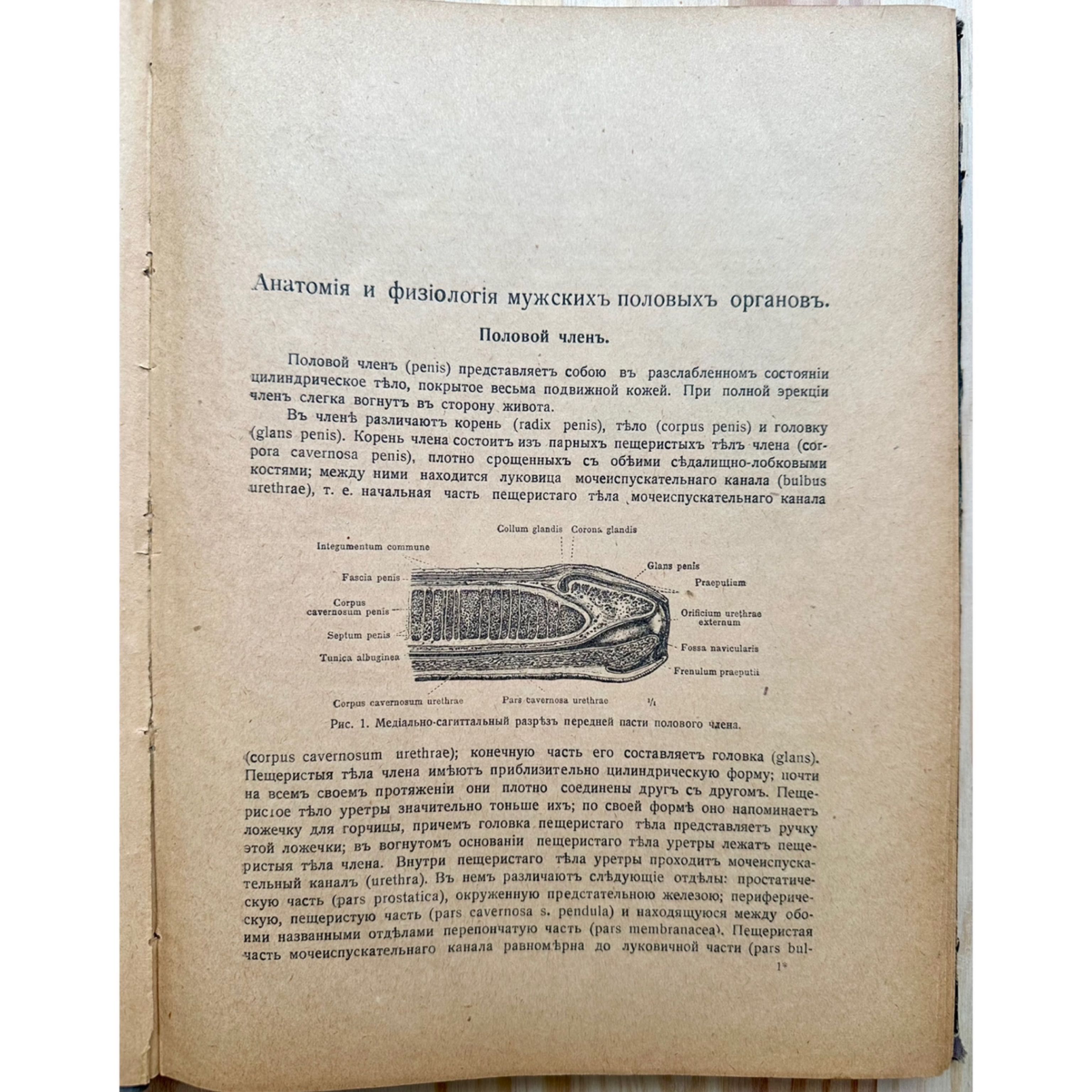 «1918 г. Половое безсилие. Л. Я. Якобзон»