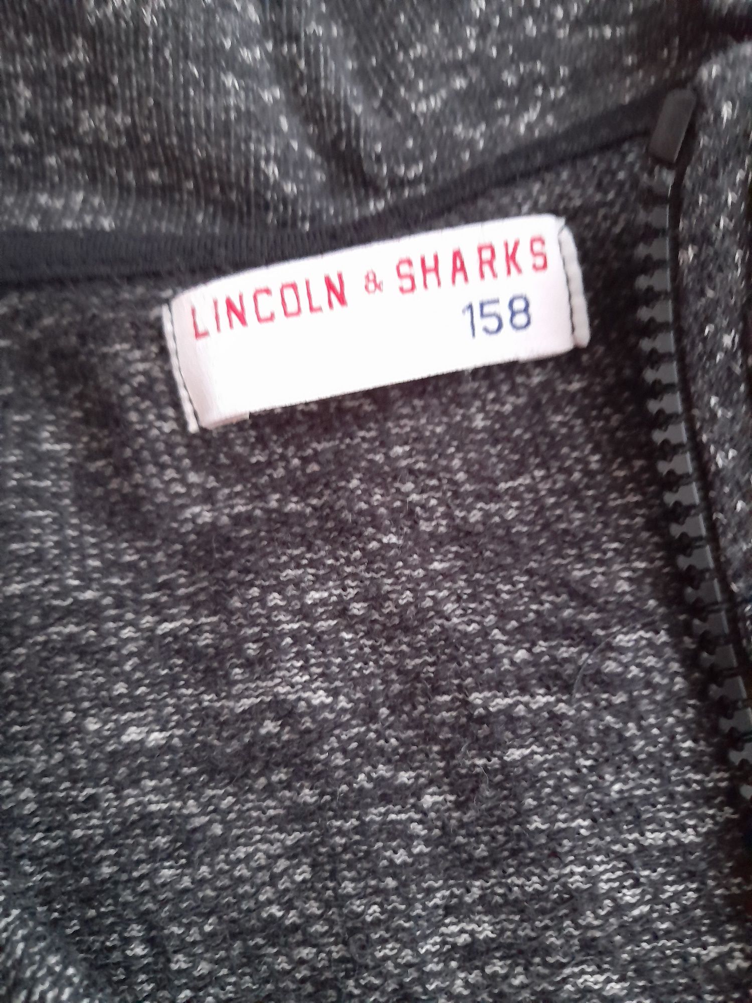 Bluza Lincoln&sharks 5.10.15