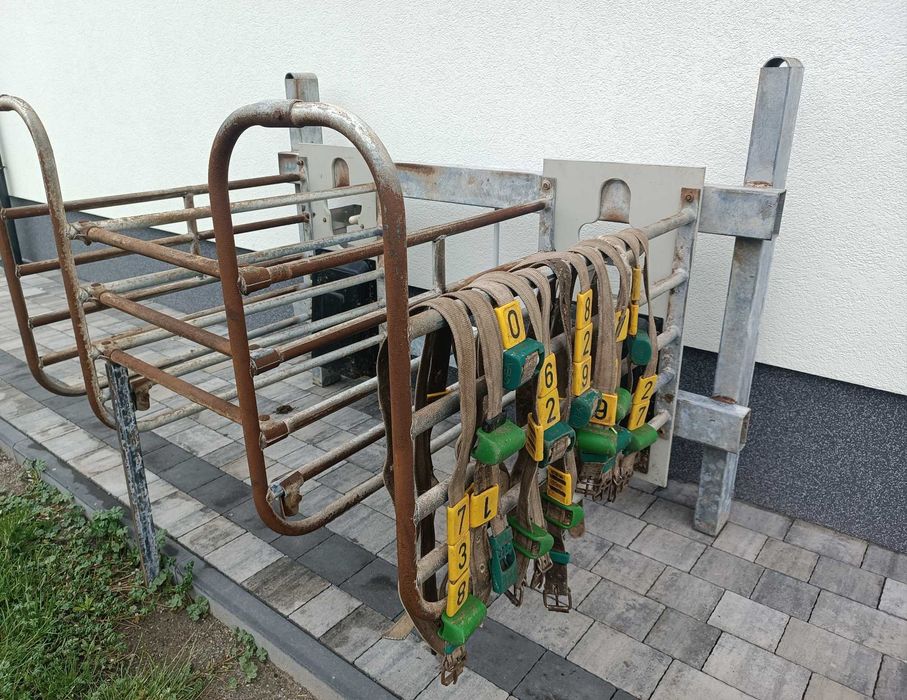 Odpajalnia dla cieląt ; stacja odpajalnia Westfalia  taksówka mleczna