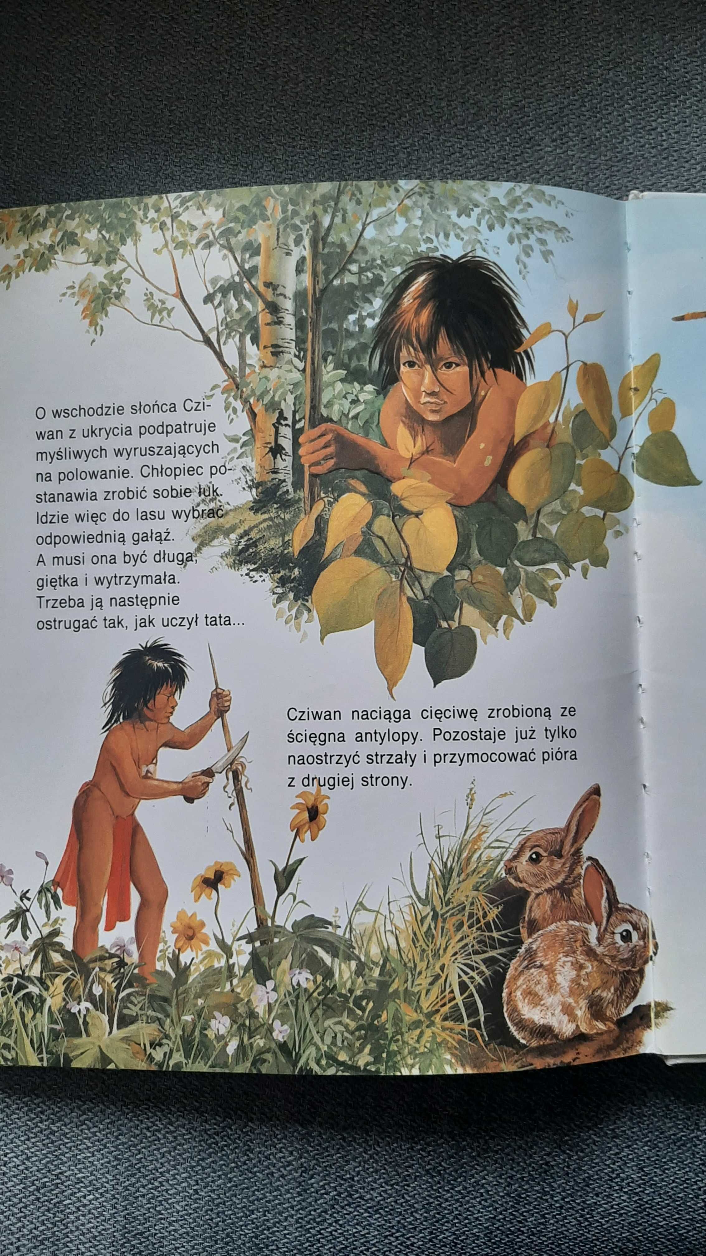 Opowieści o przyjaźni Dominique Ribaupierre Philippe Salembier Maïlé