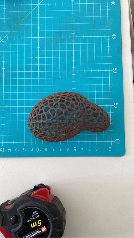 Coral musgo abrigo para camarões