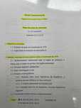 resumos de direito constitucional ii