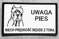 Tabliczka uwaga zły pies cane corso