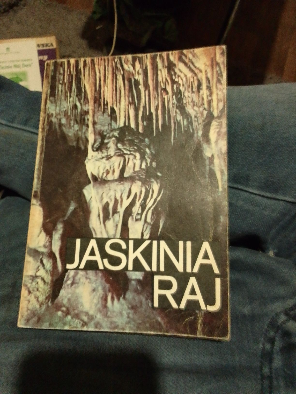 Jaskinia raj ksiazka