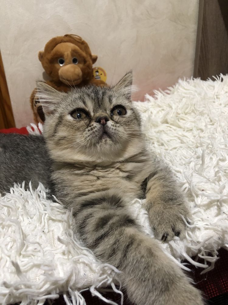 Экзотка девочка супер!