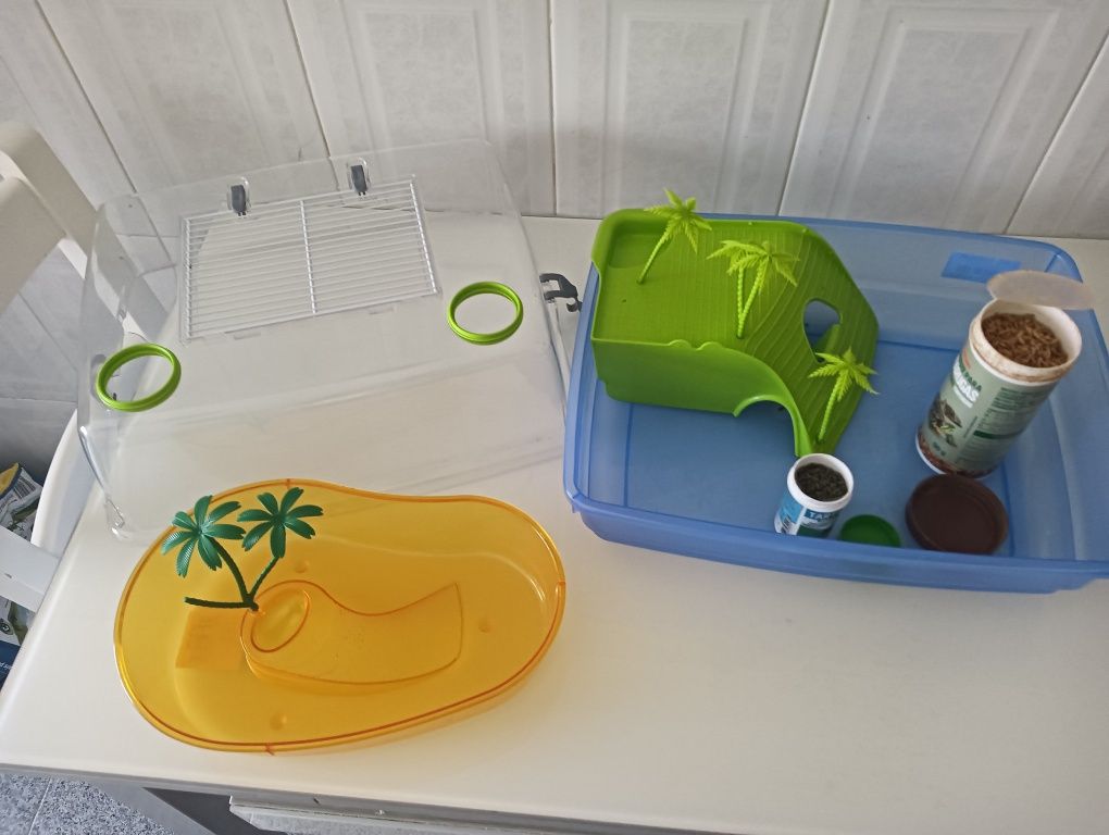 Tartarugueiros e comida para tartarugas pequenas