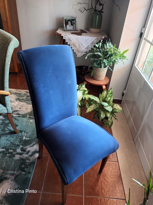 Cadeiras de Sala Jantar em Cerejeira e veludo azul.