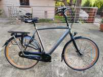 Rower męski Gazelle Orange C7 61”