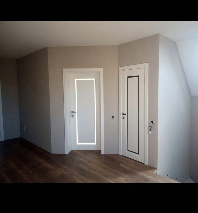 двері міжкімнатні фарба/емаль преміум класу