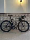 Specialized S-Works SL4