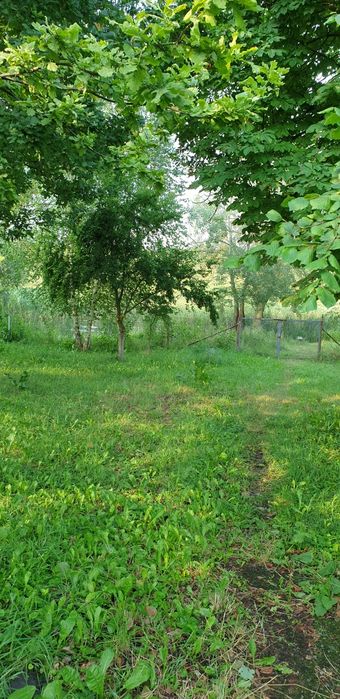 Будинок, літня кухня, 1 га землі з виходом до річки, с. Іванків