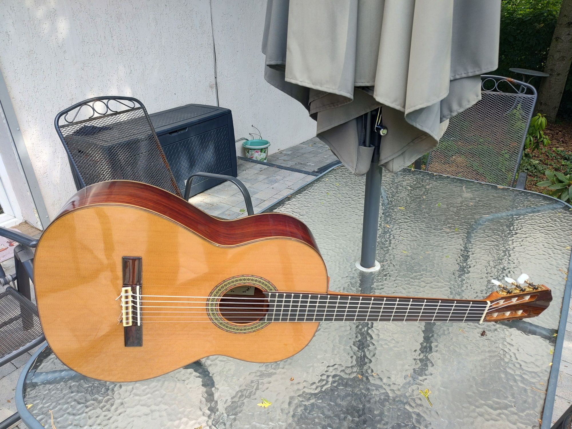NOWA Raimundo 129 Spain gitara klasyczna THE BEST solid cedar cocobolo