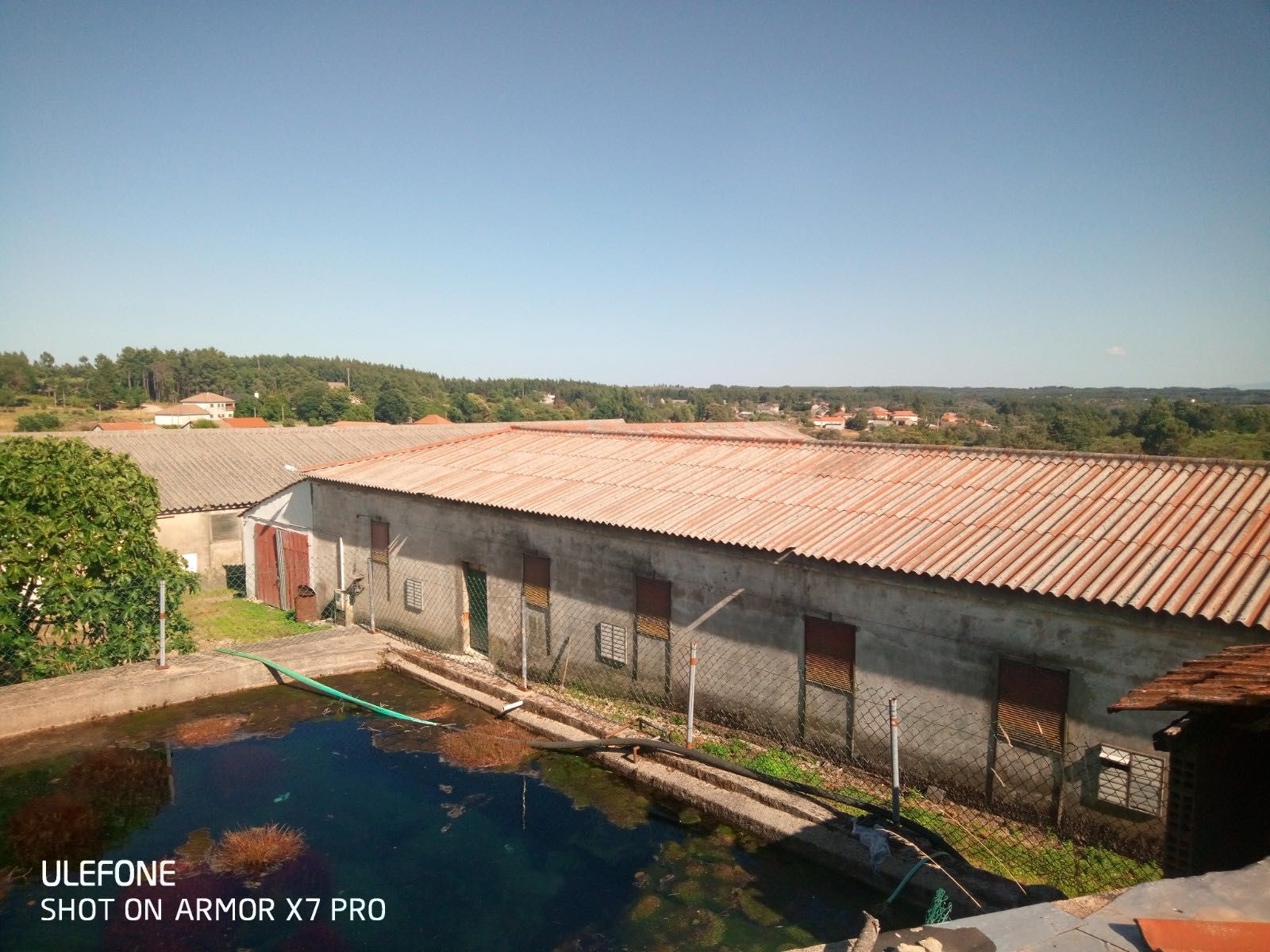 Vendo Nucleo/Pavilhões de Aviários com Terreno