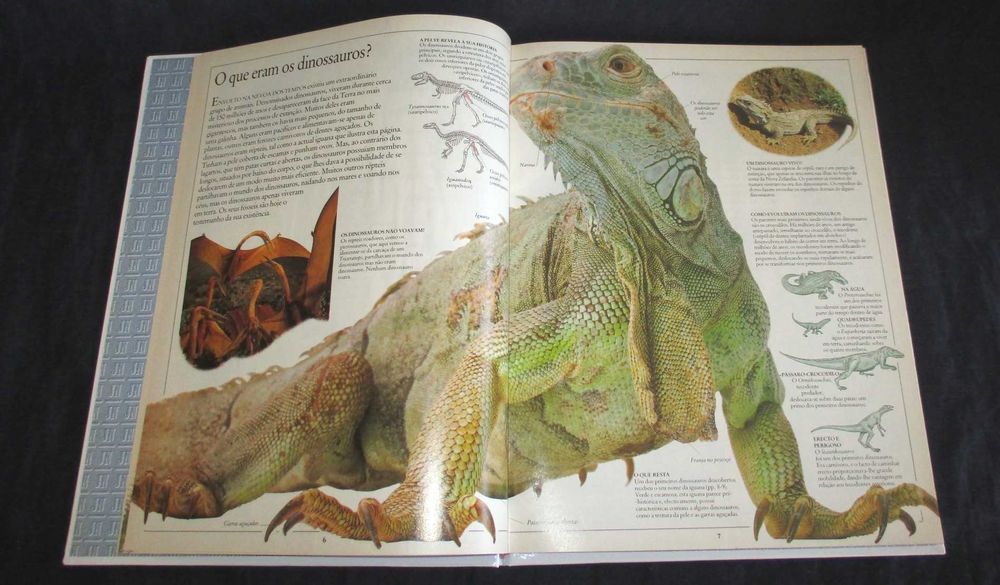 Livro Dinossauros Borboletas Plantas Enciclopédia Visual