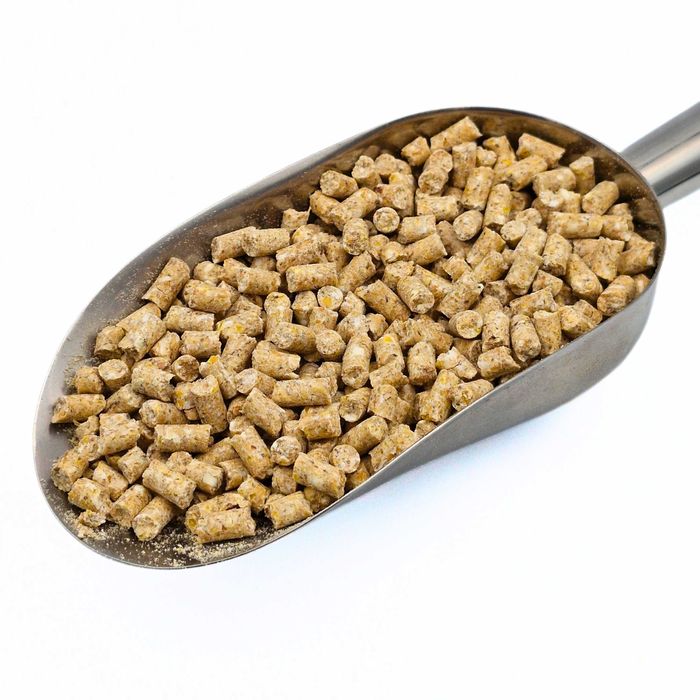 Cielak Start KOJPASZ - Granulat - 25 kg