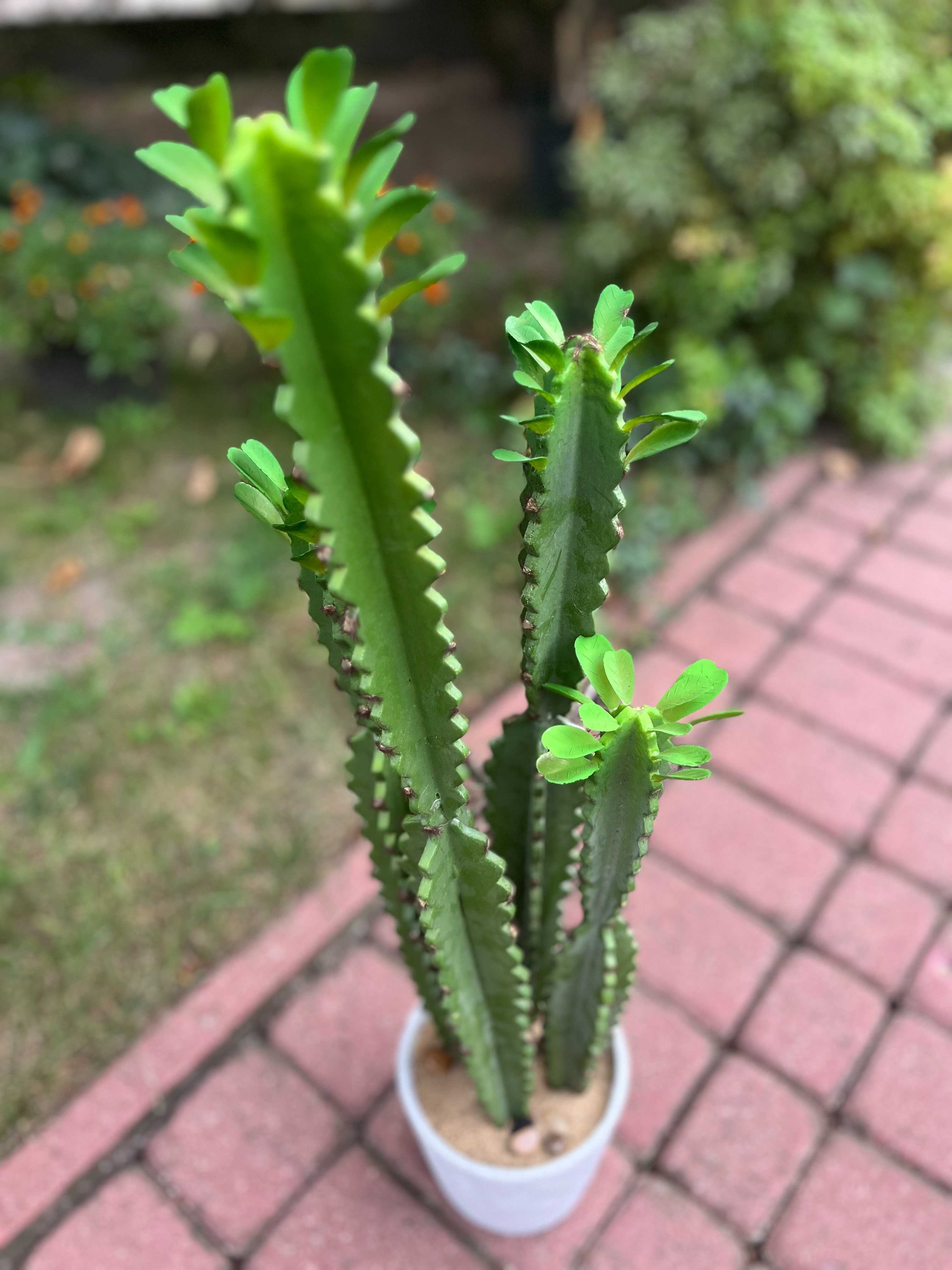 Sztuczny Kaktus Z Doniczką 70 cm Wysoka Jakość