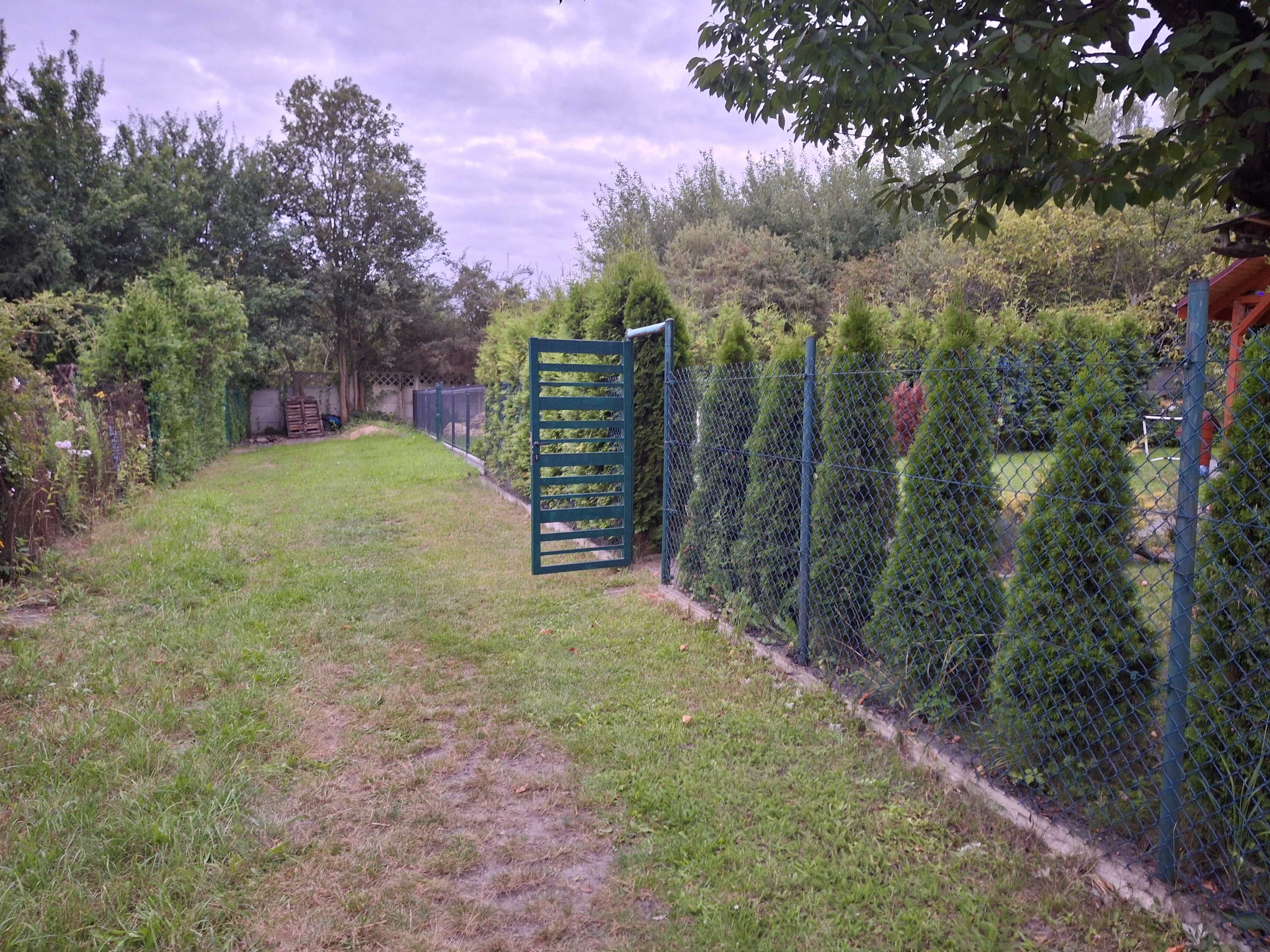 Ogródek Działkowy
