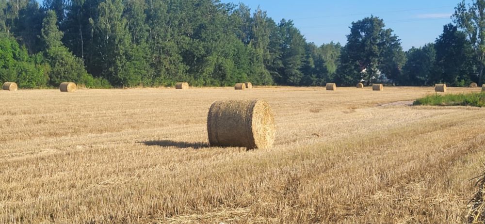 Sprzedam słomę w belach