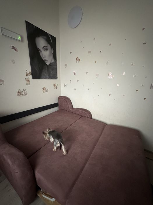 Продам диван в нормальной состоянии