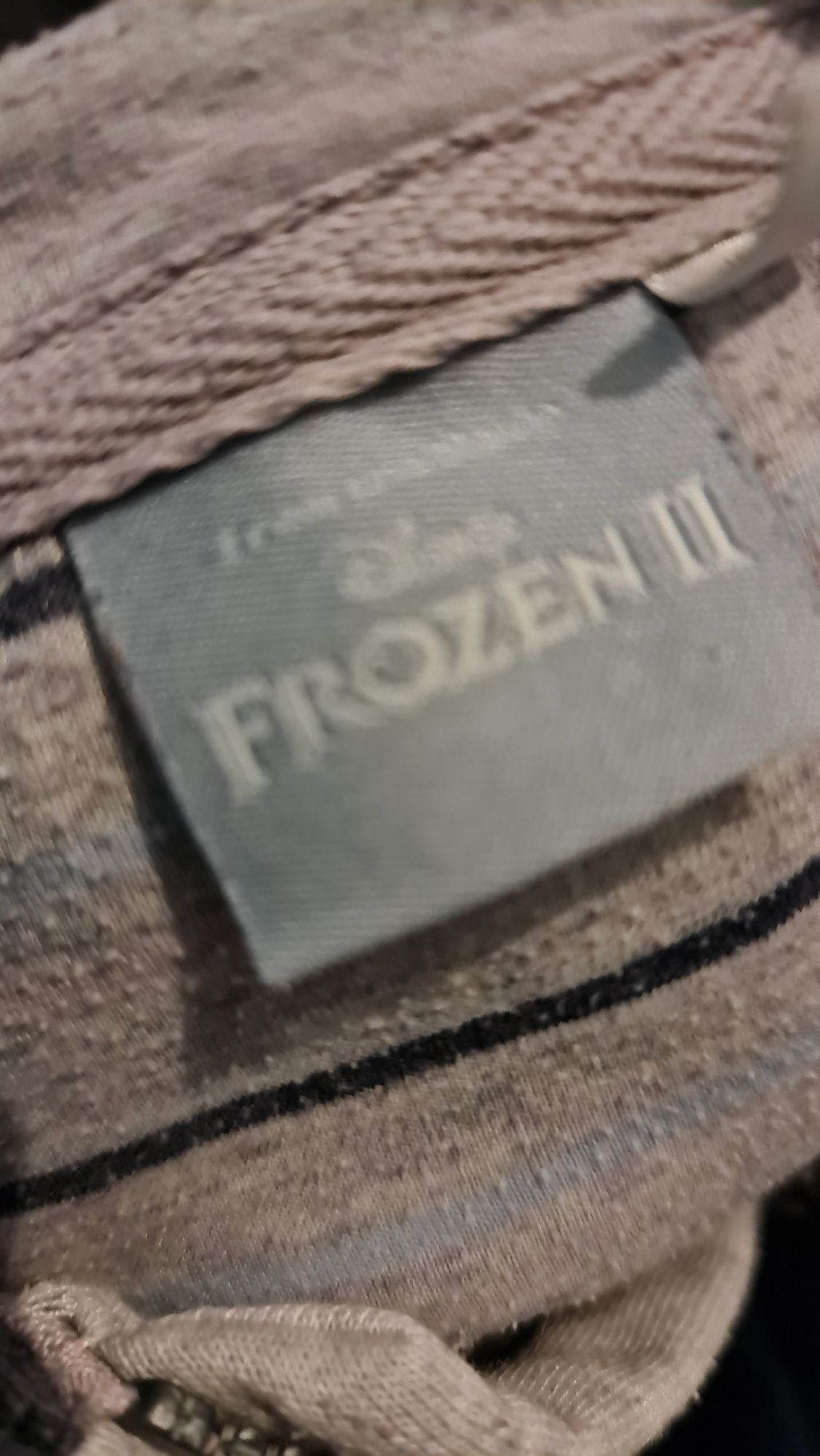 Zestaw bluzka bluza sukienka frozen II kraina lodu
