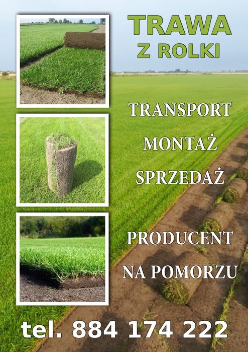 Trawa Z Rolki Trawnik Montaż Transport Sprzedaż