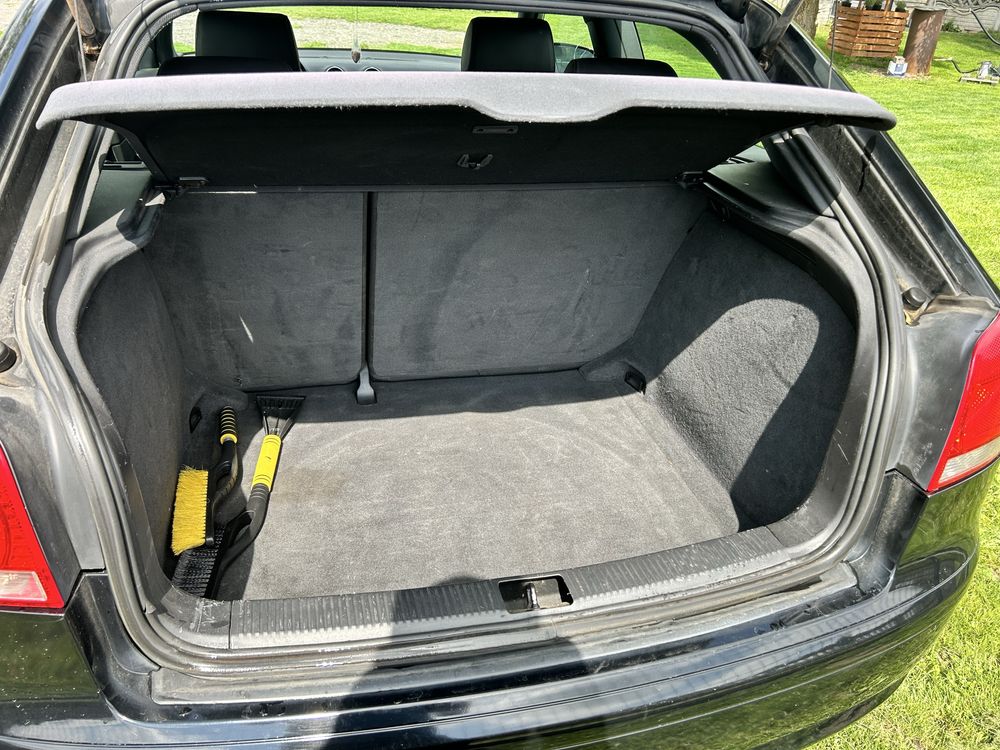 Audi A3 8P 1.6 Benzyna