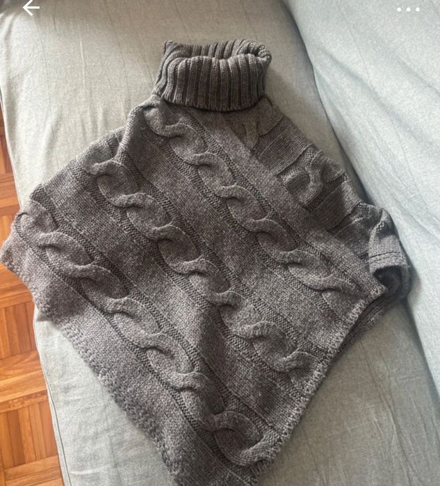 Poncho Lion of Porches