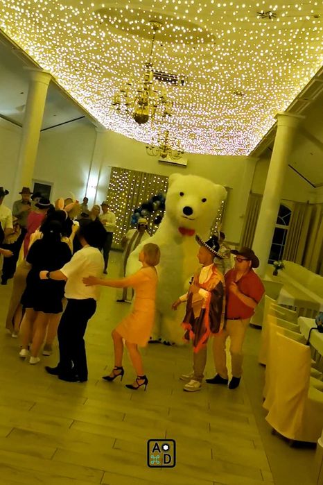 VideoBudka360, Biały Miś, Napis LOVE, FotoBudka360,DJ, Oprawa Muzyczna