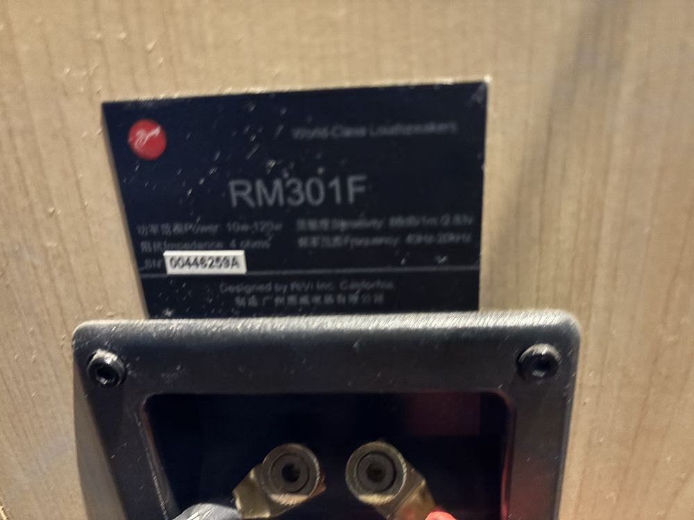 Kolumny swans RM 301F