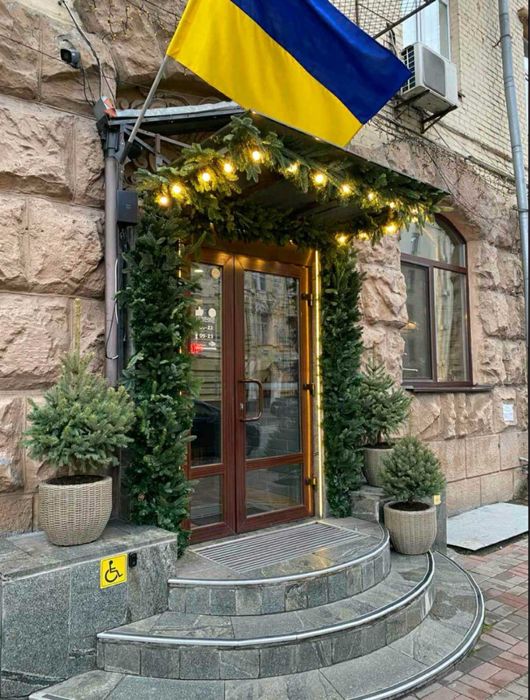 карпатські живі ялинки у горщику з корінням новий рік