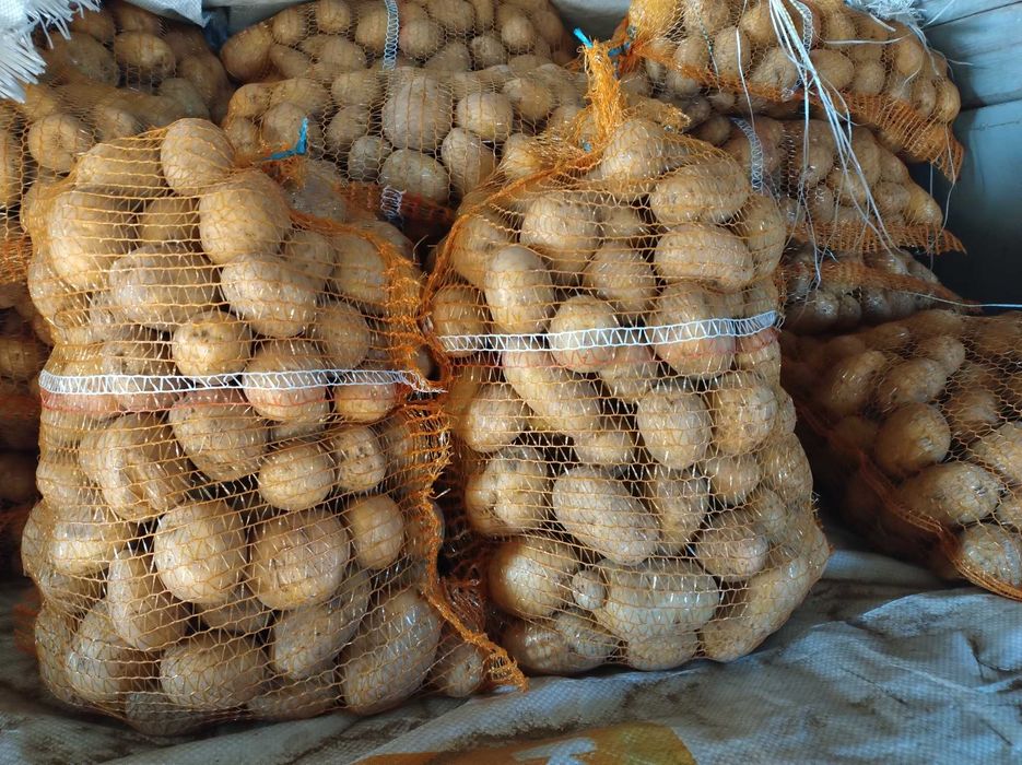 Sprzedam ziemniaki jadalne DENAR i LILI 15kg
