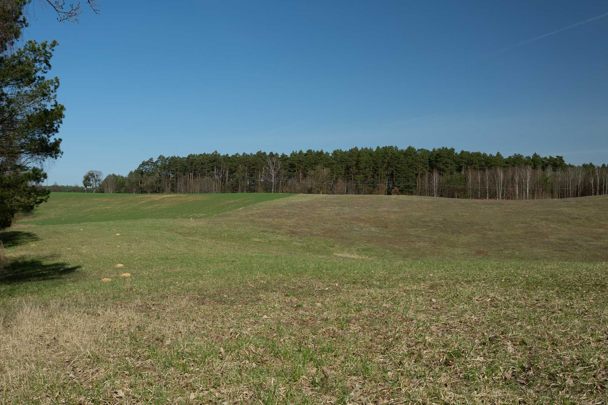 Działka rekreacyjno-budowlana 875m2 nad jeziorem w Borach Tucholskich.